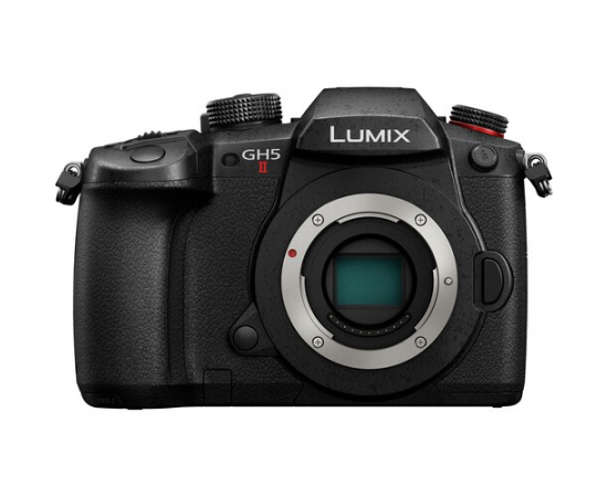 PANASONIC LUMIX DC-GH5 II + Leica DG Vario-Elmarit 12-60mm f/2.8-4 ASPH. POWER O.I.S