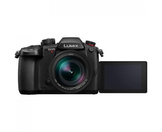 PANASONIC LUMIX DC-GH5 II + Leica DG Vario-Elmarit 12-60mm f/2.8-4 ASPH. POWER O.I.S
