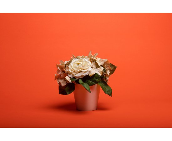 #39 BRIGHT ORANGE - 2.72x11m1