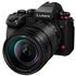 PANASONIC LUMIX S1 II  + S 24-105mm f/4 Macro OIS