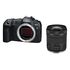 CANON EOS R8 + RF 24-105mm f/4-7.1 IS STM